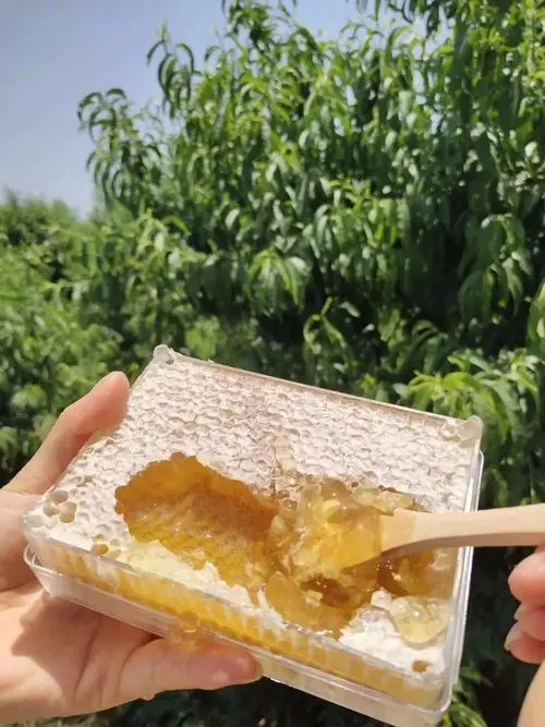 银川绿洲纯天然蜂蜜
