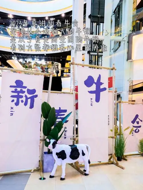 银川绿洲生态牧场鲜奶